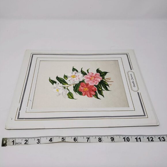 Original Vintage Silk Print 1965 CAMELLIA JAPONICA by BIANCHINI-FERIER Matted - Picture 7 of 7